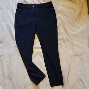 LOFT Navy Ankle Pants
